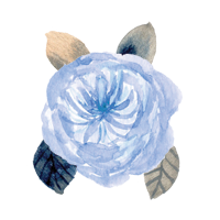 flor_xv_2